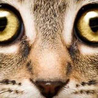 Отзыв о сайте оконные-решётки.рф