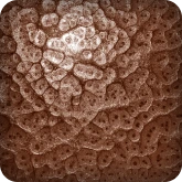 цвет грунтовый