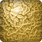 цвет грунтовый