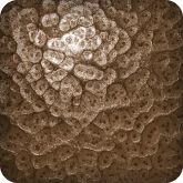 цвет грунтовый