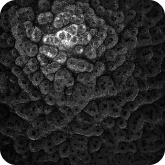 цвет грунтовый